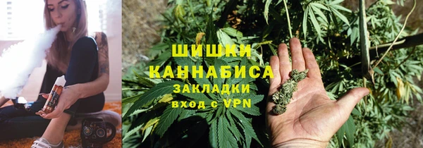 дмт Билибино