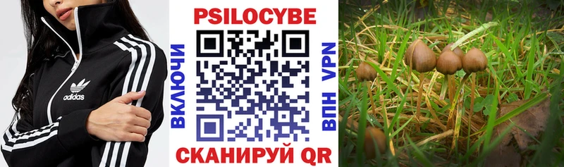 гидра вход  Зуевка  Галлюциногенные грибы прущие грибы 