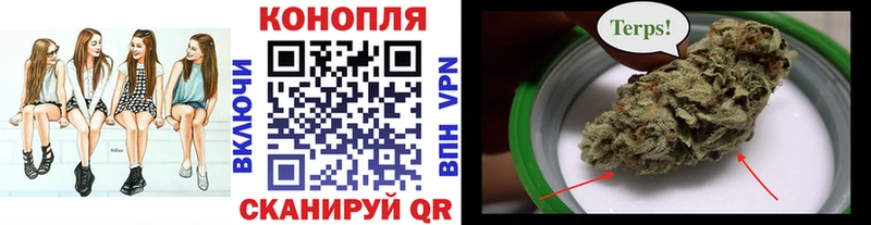 shop какой сайт  купить  сайты  Зуевка  Марихуана OG Kush 