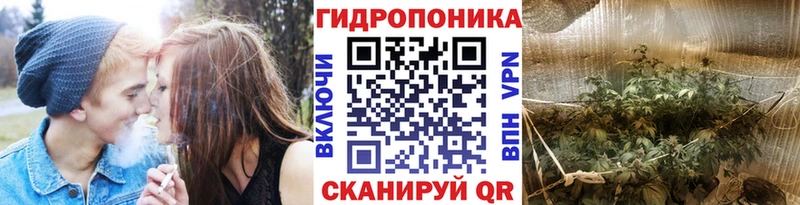 Канабис OG Kush Зуевка
